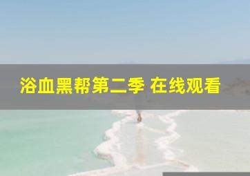 浴血黑帮第二季 在线观看